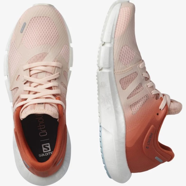 Pink / Orange Salomon Predict 2 Women's Running Shoes | IE CO5801